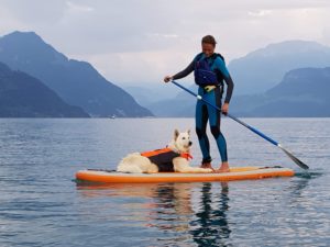 Kanukurs mit dem Hund